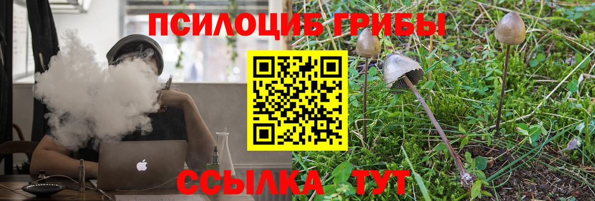 Псилоцибиновые грибы Magic Shrooms  наркошоп  Абакан  Вход с VPN 